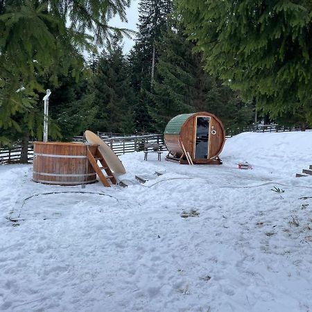 Hotel Floare De Colt Mînăstirea Humorului Buitenkant foto