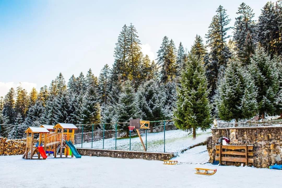 Hotel Floare De Colt Mînăstirea Humorului Buitenkant foto