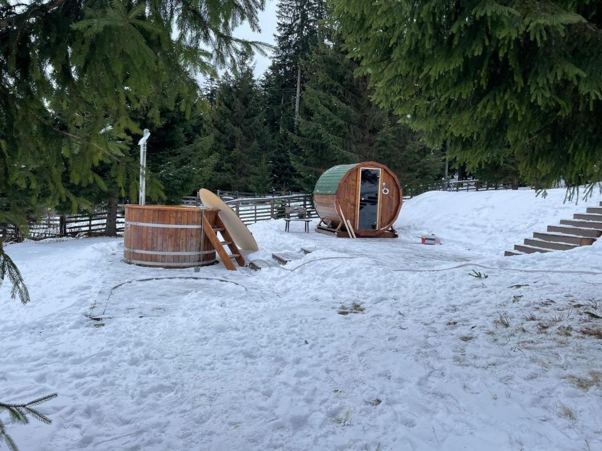 Hotel Floare De Colt Mînăstirea Humorului Buitenkant foto
