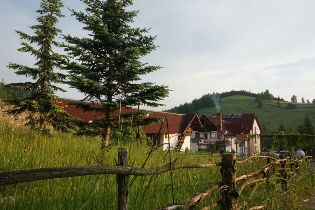 Hotel Floare De Colt Mînăstirea Humorului Buitenkant foto