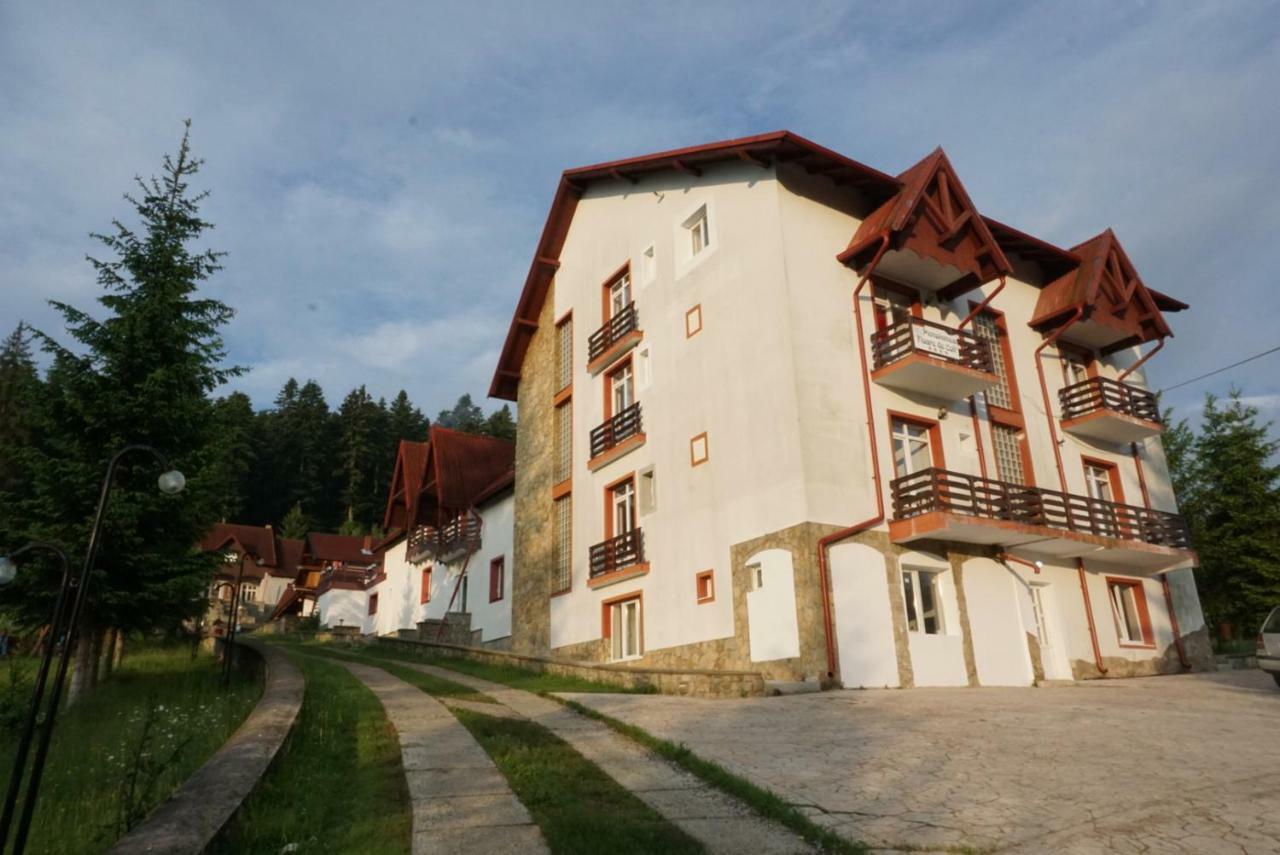 Hotel Floare De Colt Mînăstirea Humorului Buitenkant foto