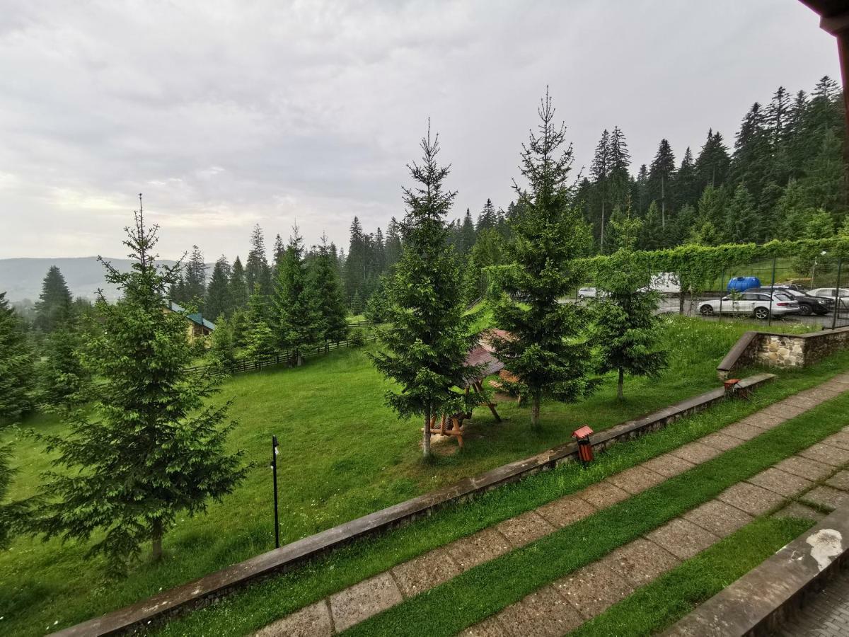 Hotel Floare De Colt Mînăstirea Humorului Buitenkant foto