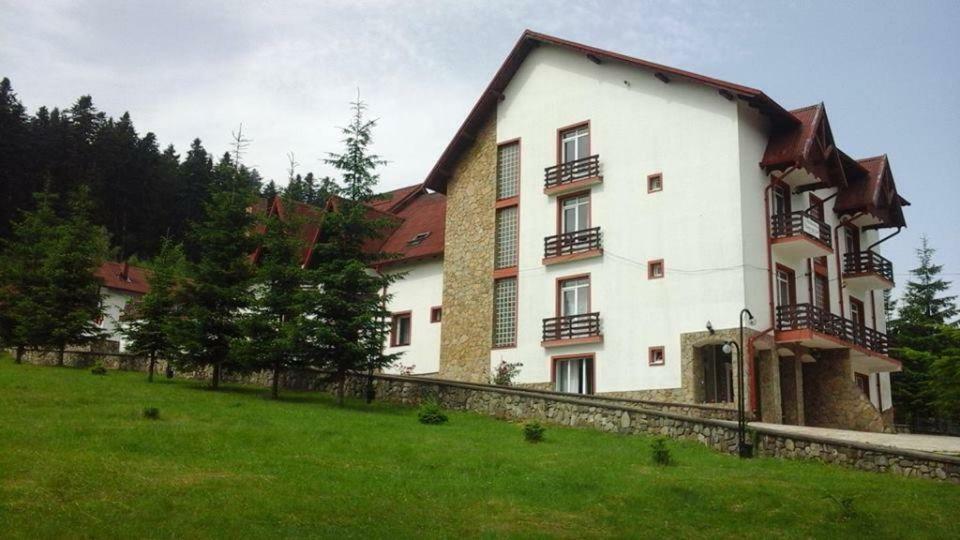 Hotel Floare De Colt Mînăstirea Humorului Buitenkant foto