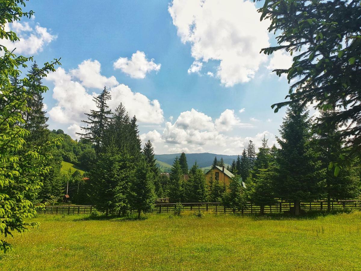 Hotel Floare De Colt Mînăstirea Humorului Buitenkant foto